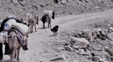 Nomadic shephards near Bibi Fatima springs, Tajikistan